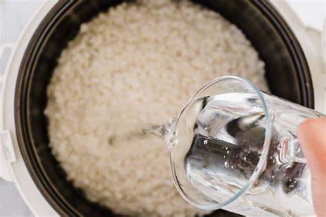 Verschiedene Reiskocher im Test & Vergleich (2023)